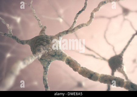 Concetto di immagine di neuroni del cervello umano. Foto Stock