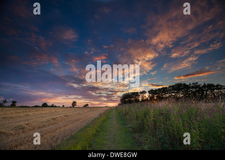 Paesaggio estivo in Norfolk, Regno Unito Foto Stock