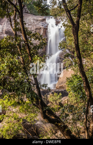 MURRAY FALLS, GIRRAMAY NATIONAL PARK, QUEENSLAND, Australia Foto Stock