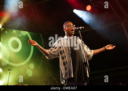 Adorabile Rogues performing live a Chilfest 2013, Tring, Hertfordshire, musica dal vivo, gig Foto Stock