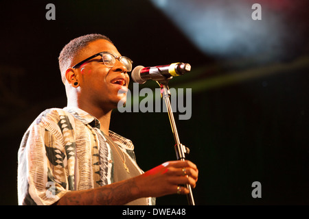 Adorabile Rogues performing live a Chilfest 2013, Tring, Hertfordshire, musica dal vivo, gig Foto Stock