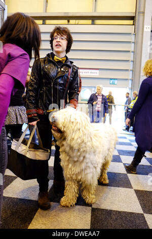 Birmingham, Regno Unito. Il 6 marzo 2014. Il Crufts 2014 dog show in NEC National Exhibition Centre Birmingham REGNO UNITO Inghilterra giorno uno dei premier dog show e la concorrenza. Credito: Paul Thompson Live News /Alamy Live News Foto Stock