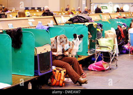 Birmingham, Regno Unito. Il 6 marzo 2014. Il Crufts 2014 dog show in NEC National Exhibition Centre Birmingham REGNO UNITO Inghilterra giorno uno dei premier dog show e la concorrenza. Credito: Paul Thompson Live News /Alamy Live News Foto Stock