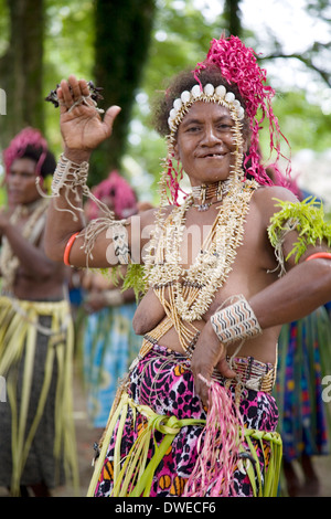 Tradizionalmente i ballerini in costume da tutta l isola di eseguire a Santa Ana Isola, Isole Salomone, Sud Pacifico Foto Stock