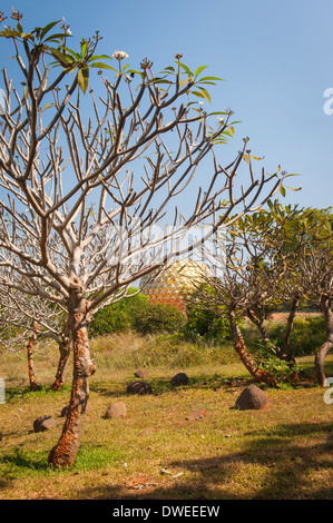 India Tamil Nadu Pondicherry Puducherry Auroville Matri Mandir meditazione spirituale centro centro due camere oro sfera dorata rami di alberi Foto Stock