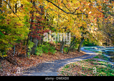 Un percorso a piedi lungo un lago in una giornata di sole in mezzo i brillanti colori dell'autunno, Sharon boschi, Southwestern Ohio, Stati Uniti d'America Foto Stock