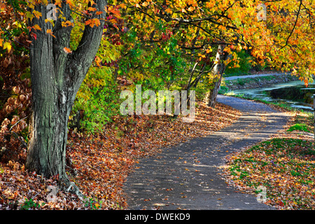 Un percorso a piedi lungo un lago in una giornata di sole in mezzo i brillanti colori dell'autunno, Sharon boschi, Southwestern Ohio, Stati Uniti d'America Foto Stock