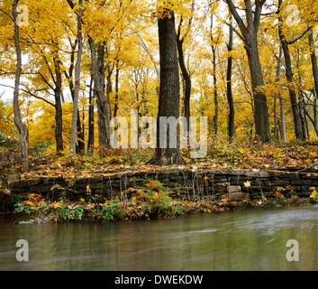 Un antico muro di pietra, il flusso e la foresta in autunno, Southern Ohio, Stati Uniti d'America Foto Stock