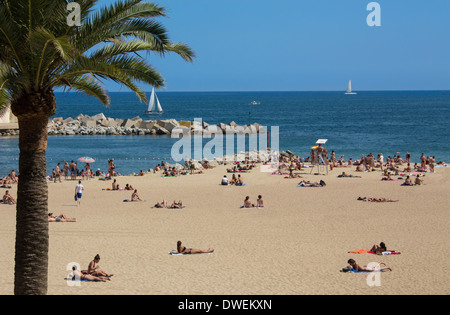 Una delle famose spiagge di Barcellona (Platja de la Nova Icaria) nei pressi del Porto Olimpico di Barcellona nella regione della Catalogna di Spagna. Foto Stock