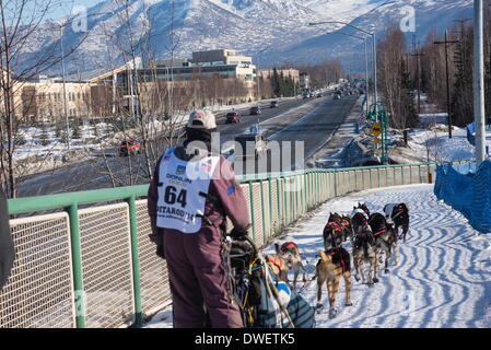 Anchorage in Alaska,, Stati Uniti d'America. 1 Mar 2014. Iditarod musher ROBERT BUNDTZEN passa lungo il ponte di Tudor a inizio di Iditarod 62. Unità Mushers anche se il centro di ancoraggio per la partenza cerimoniale dell'Iditarod Sled Dog Race. © Ron Levy/ZUMA filo/ZUMAPRESS.com/Alamy Live News Foto Stock