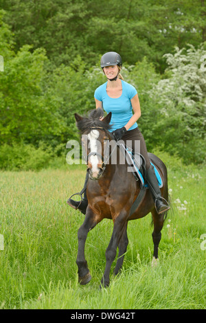 Cavalcare su pony Connemara al galoppo Foto Stock