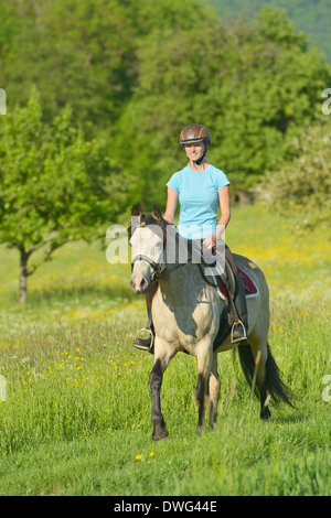 Giovane pilota sul retro del pony Connemara in primavera Foto Stock