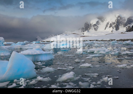 De Cuverville Island Foto Stock