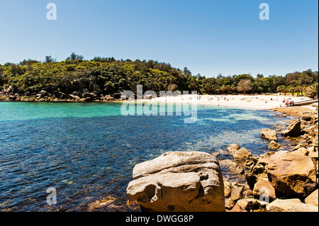 Manly Beach cercando attraverso Cabbage Tree Bay a Shelly Beach Foto Stock