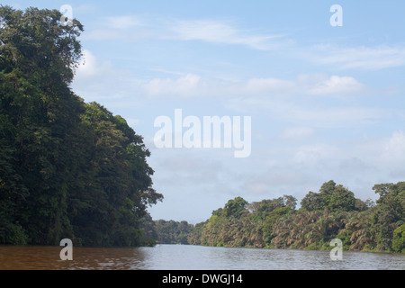 Parco Nazionale di Tortuguero. Canal con waterside vegetazione. Il litorale caraibico. Costa Rica. America centrale. Foto Stock