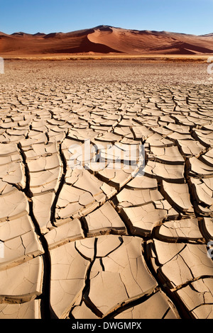 Secco, incrinato la terra nel corso di un periodo di siccità nella regione di Sossusvlei della Namibia. Foto Stock