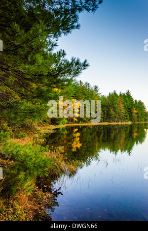 Autumn reflections in Long Pine Run Reservoir, in Michaux State Forest, Pennsylvania. Foto Stock