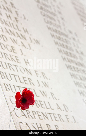 Un monumento con i nomi dei caduti nel cimitero di australiani nella Vallée de la Somme nel nord della Francia Foto Stock