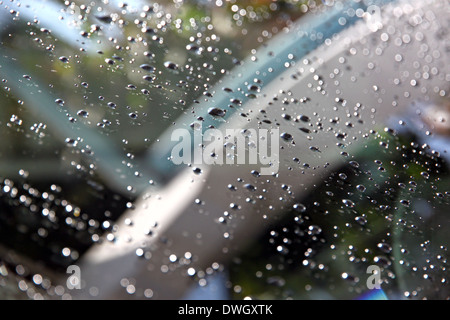 Le gocce di acqua sulla parte anteriore del parabrezza per auto. Foto Stock