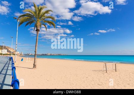 Alicante spiaggia di Postiguet al mare Mediterraneo in Spagna palme Foto Stock