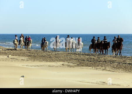 Le Grau Du Roi, Languedoc Roussillon, Francia 8 Marzo, 2014. Passeggiate a cavallo nel mare sulla spiaggia Espiguette nel Languedoc Roussillon. Credito: Digitalman/Alamy Live News Foto Stock