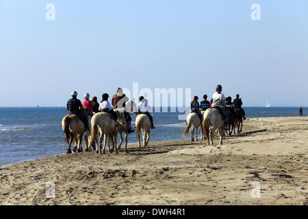 Le Grau Du Roi, Languedoc Roussillon, Francia 8 Marzo, 2014. Passeggiate a cavallo nel mare sulla spiaggia Espiguette nel Languedoc Roussillon. Credito: Digitalman/Alamy Live News Foto Stock