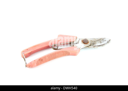 Vecchio Forbici utensile isolato su sfondo bianco. Foto Stock