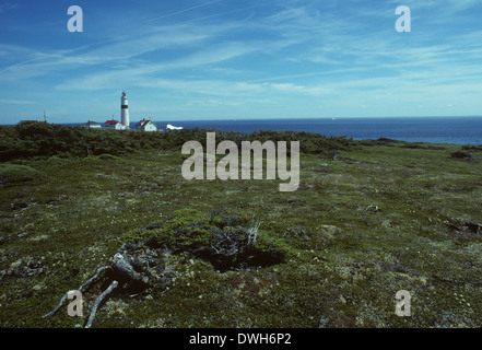 Faro e iceberg, punto Amour, Labrador Straits, Terranova, Canada Foto Stock