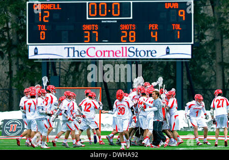 Ithaca, New York, Stati Uniti d'America. 8 Mar 2014. 8 marzo 2014: Cornell Big Red giocatori celebrare a seguito di un uomini del NCAA Lacrosse gioco tra il Virginia Cavaliers e Cornell Big Red in campo Schoellkopf in Ithaca, New York. Cornell ha vinto il gioco 12-9. Ricca Barnes/CSM/Alamy Live News Foto Stock