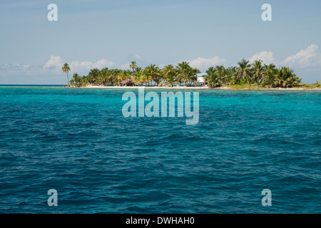 Belize, il Mare dei Caraibi, Stann Creek quartiere nei pressi di Plasencia. Ridendo Bird Caye parco nazionale situato sul Belize Barriera Corallina. Foto Stock