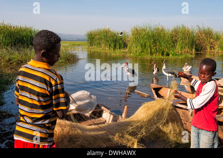 Awasa Foto Stock