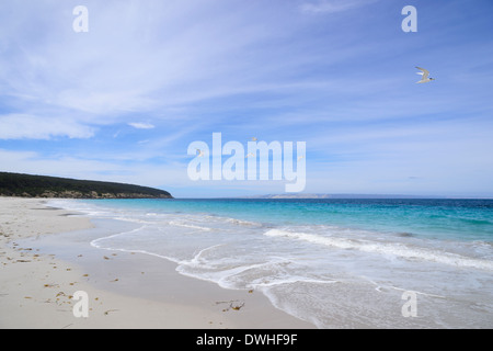 Anticamera Bay, Kangaroo Island, Sud Australia, SA, Australia Foto Stock