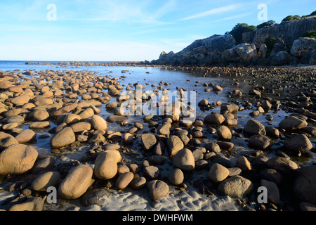 Stokes Bay, Kangaroo Island, Sud Australia, SA, Australia Foto Stock