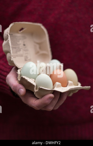 Mano che regge un uovo scatola contenente gamma gratuita home prodotti di uova Foto Stock