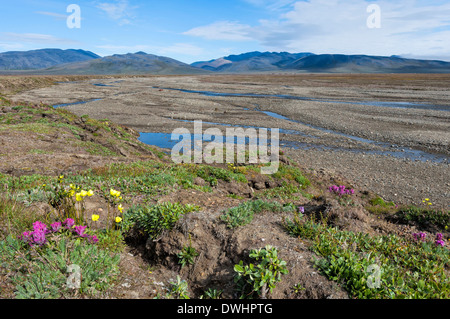 Wrangel Island, dubbia Village Foto Stock