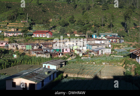 Povero quartiere con alloggiamento base in Nuwara Eliya, Sri Lanka Foto Stock