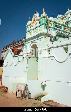 L' India , il Tamil Nadu , Chettinad , Karakaikudi , luxury house palace mansion Chettiar casa famiglia pareti verdi pareti pascolo di vacca Foto Stock