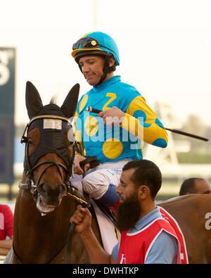 Dubai, EAU. 8 Marzo, 2014. Frankie Dettori era in concorrenza in The Meydan Sprint durante il Dubai World Cup Carnival Credit: Tom Morgan/Alamy Live News Foto Stock