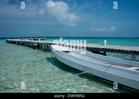 Belize, il Mare dei Caraibi, il Distretto del Belize, Goff Caye, popolare barriera corallina isola al largo della costa di Belize City. Foto Stock