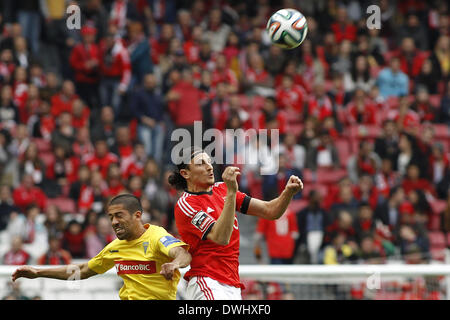 Lisboa Lisboa, Portogallo. 9 Mar 2014. Benfica il centrocampista serbo Ljubomir Fejsa contende a Estoril il centrocampista brasiliano Evandro Goebel durante la Zon Sagres League football match SL Benfica vs Estoril a Luz Stadium di Lisbona. © Filipe Amorim/NurPhoto/ZUMAPRESS.com/Alamy Live News Foto Stock