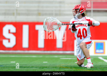 Ithaca, New York, Stati Uniti d'America. 8 Mar 2014. 8 marzo 2014: Cornell Big Red goalie cavaliere cristiana (40) controlla la sfera durante la prima metà di un degli uomini del NCAA Lacrosse gioco tra il Virginia Cavaliers e Cornell Big Red in campo Schoellkopf in Ithaca, New York. Ricca Barnes/CSM/Alamy Live News Foto Stock