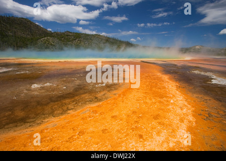 Grand Prismatic Spring in Midway Geyser Basin, il Parco Nazionale di Yellowstone, Wyoming. Foto Stock