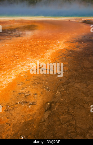 Grand Prismatic in Midway Geyser Basin, il Parco Nazionale di Yellowstone, Wyoming. Foto Stock