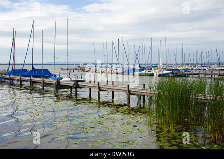 Steinhuder Meer Foto Stock