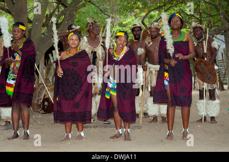 I balli tradizionali, villaggio Zulu Foto Stock