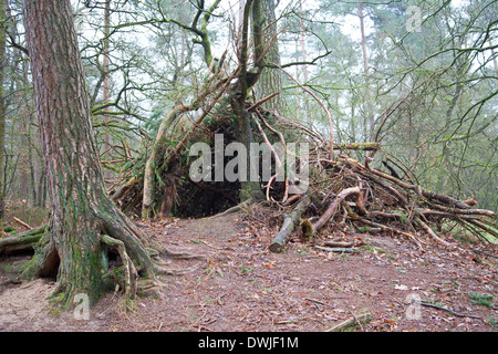 Un rifugio di legno nella foresta Foto Stock