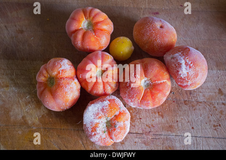 Pomodori cresciuti in casa che sono state congelate su una breadboard Foto Stock