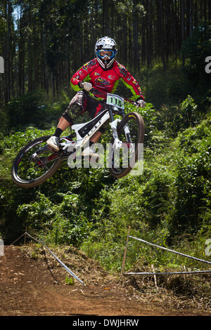 Mountain bike immagini XC DH Cross country e downhill Foto Stock
