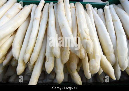 Durmersheim, Germania. Decimo Mar, 2014. Raccolti freschi Asparagi è sul display della Gehrer asparagi in fattoria Durmersheim, Germania, 10 marzo 2014. La base di asparagi sul Gehrer farm è coltivato al di sotto di una lamina di plastica che permette il vegetale di crescere più velocemente rispetto ai tradizionali metodi di allevamento. Foto: Uli Deck/dpa/Alamy Live News Foto Stock