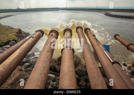 Bridgwater, Regno Unito. 10 marzo, 2014. Dutch ad alta capacità di pompe in funzionamento a Dunball Wharf vicino Bridgwater lunedì 10 marzo, 2014. Otto alimentate a gasolio Van ontrollare le pompe sono state installate dall'Agenzia per l'ambiente come una misura temporanea per rimuovere inondazione dai livelli di Somerset spostandolo da King's Sedgemoor scarico nel fiume Parrett nuovi membri dove è effettuata a mare dalla marea. Oltre 1700 tonnellate di roccia, incluse le spese di spedizione di contenitori riempiti con pietre sono state poste al di sotto del beccuccio per evitare che la forza dell'acqua da erodere la banca. Credito: Nick Cable/Alamy Live News Foto Stock